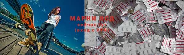 apvp Алзамай