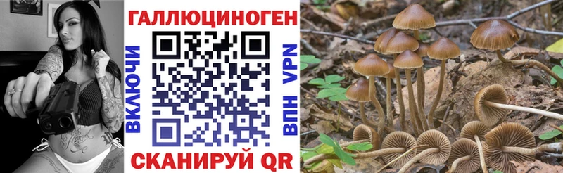 даркнет сайт  Лениногорск  Псилоцибиновые грибы ЛСД 