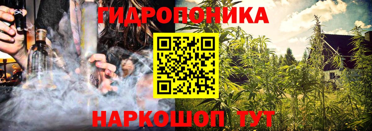 Бошки марихуана сатива Лениногорск